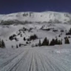 Meet your Posher, Jlw